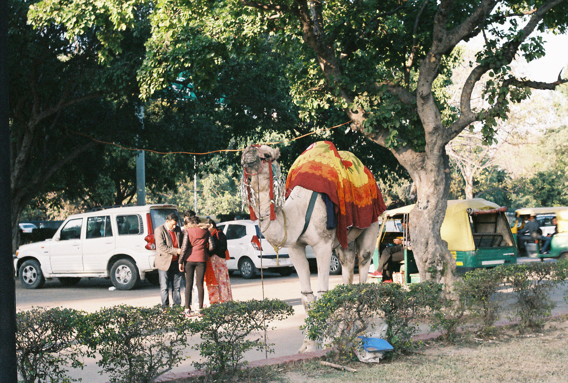Chandigarh, India