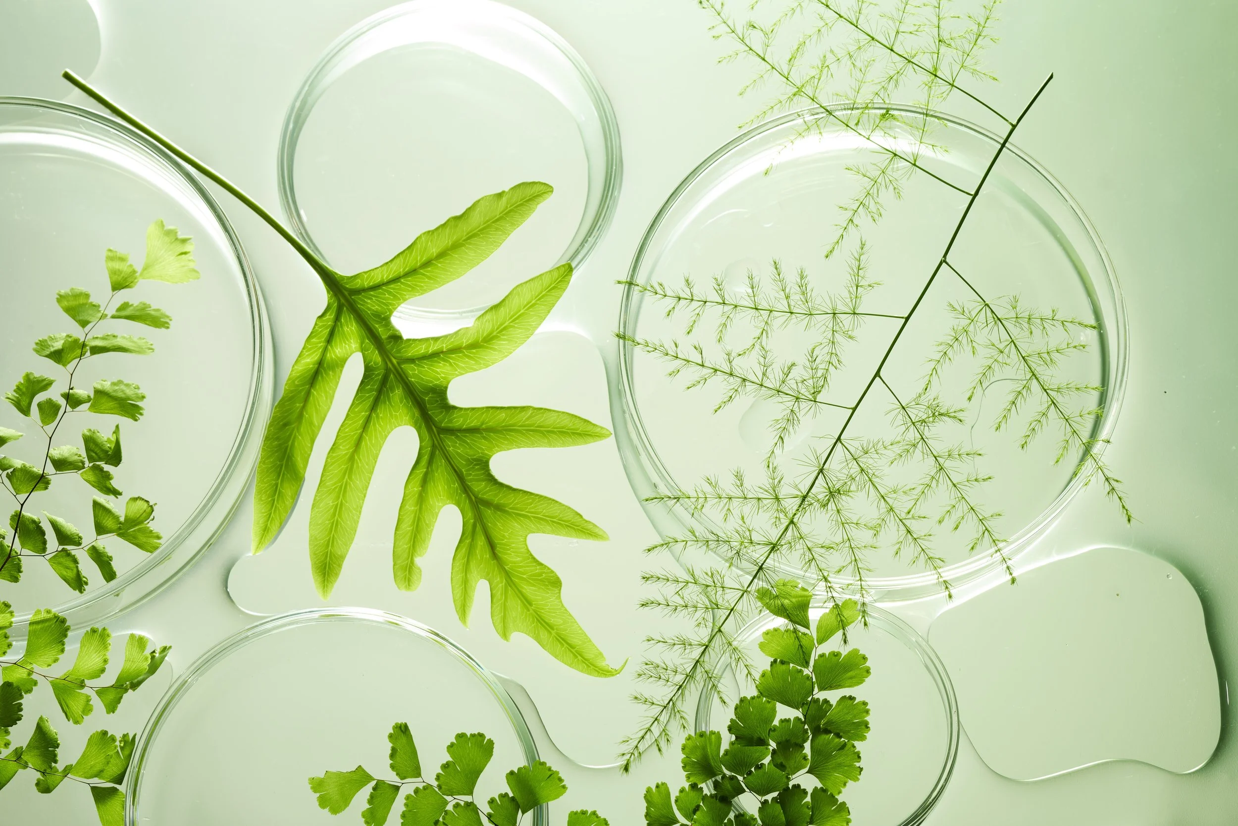 0323_SL_Canabria Labs Science_ 2.jpeg