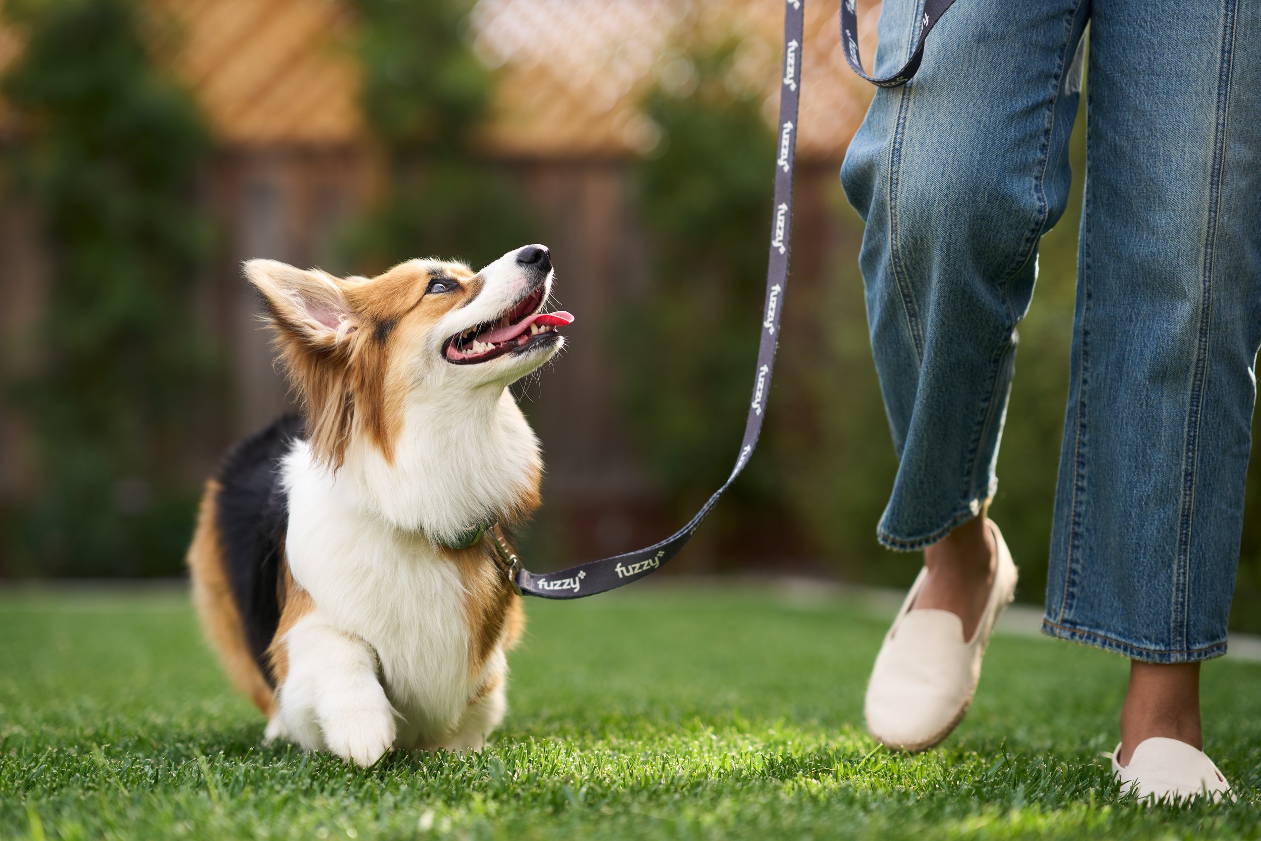 Fuzzy_Backyard_Pretzel_9912 copy.jpg