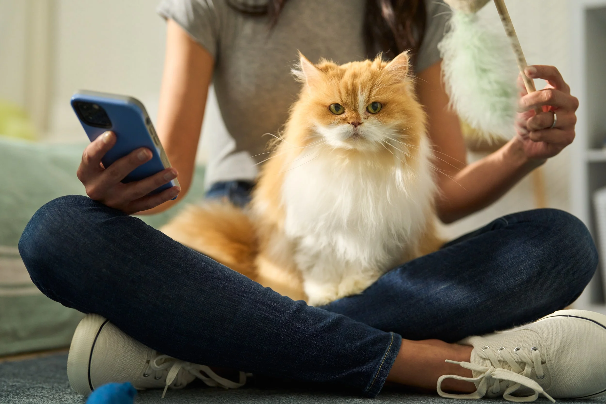 Fuzzy_Kids_Room_Cat_Toys_4292 copy.jpg