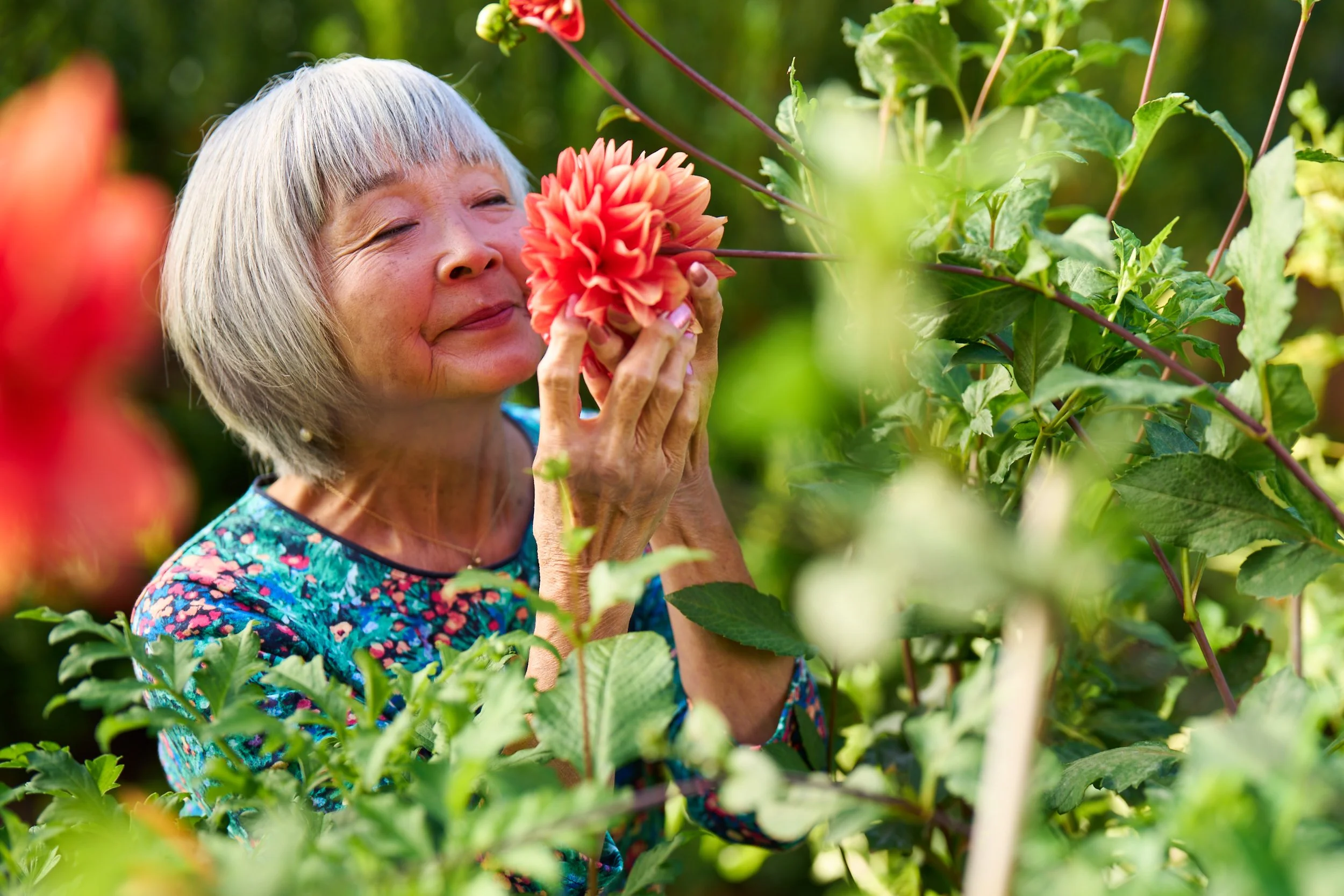 Leisure_Care_Garden_0531.jpg