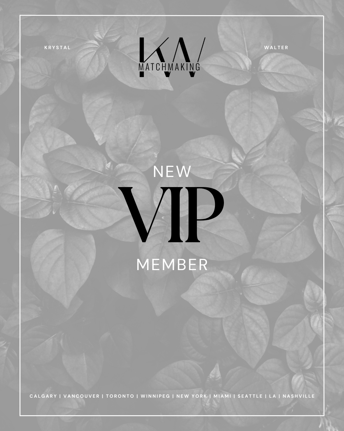 Toronto VIP Client: Active, Genuine, and Ready for Real Connection