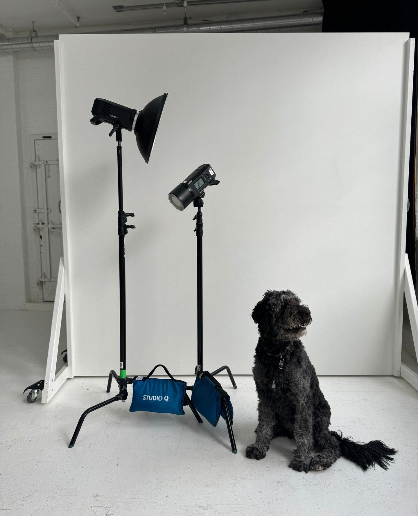 Studio? Check. Photographer? Check. Products and props? Check. Lighting? Uh-oh&hellip;⁠
⁠
Don't panic! We have everything you need to light your set and nail your shoot. Lighting packages are available for add-on to any studio rental &ndash; just pic