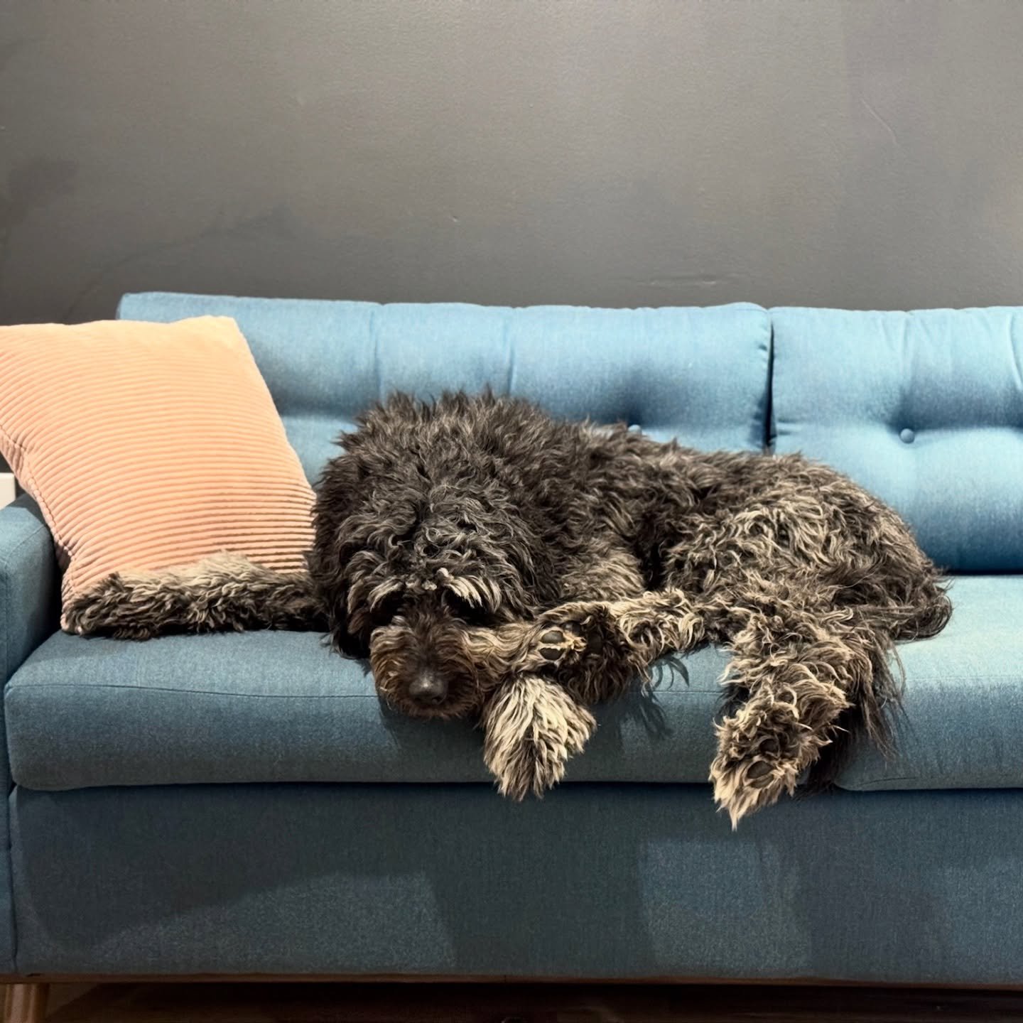 How a full week of holiday activities has us feeling&hellip;.

We hope you&rsquo;re finding time to relax after a busy holiday season! We&rsquo;re taking time to regroup, but can&rsquo;t wait to welcome the first projects of the new year in just a fe