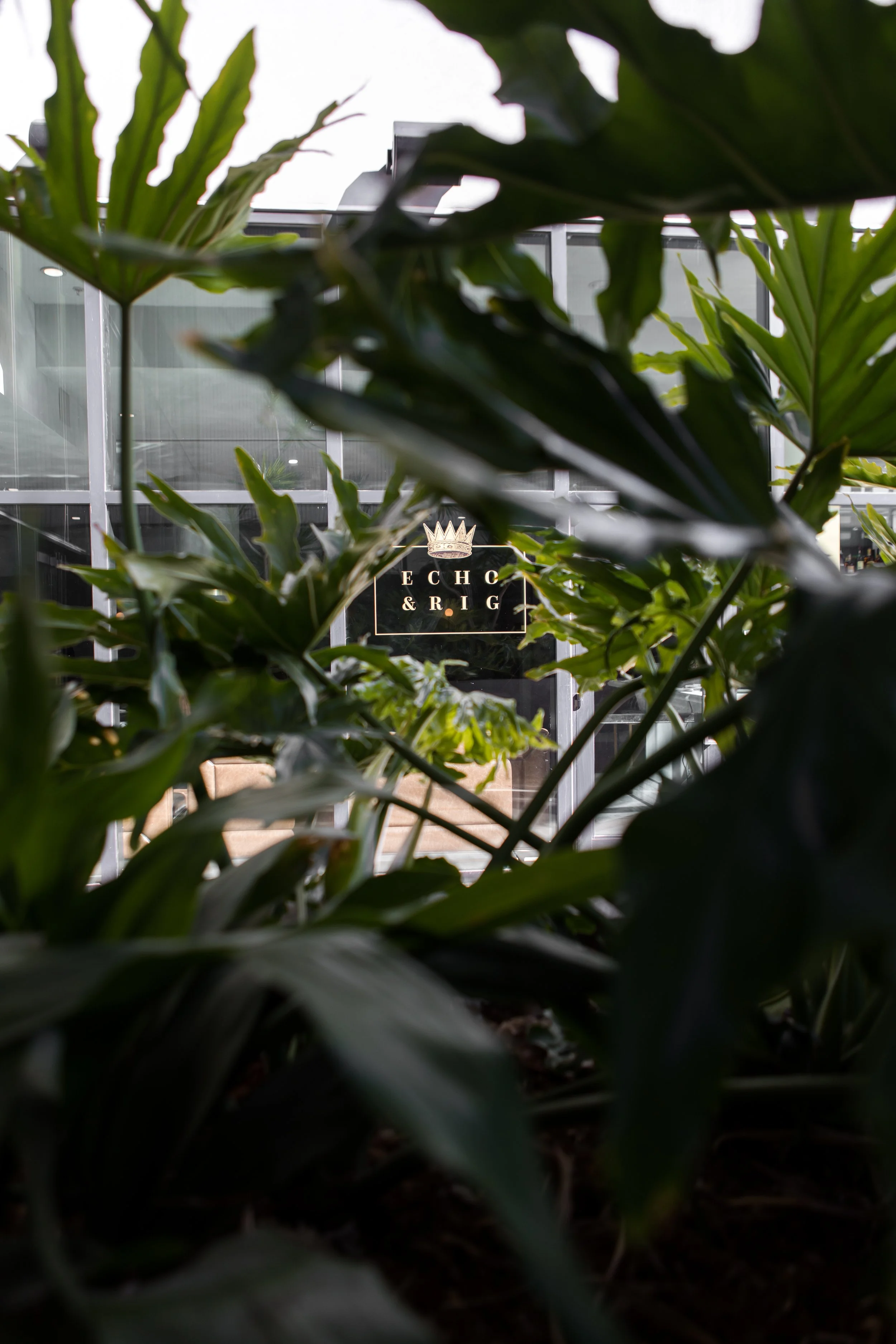 Indoor space with lush green plants in the foreground and a sign that reads 'Echo & Rig' with a crown logo in the background.