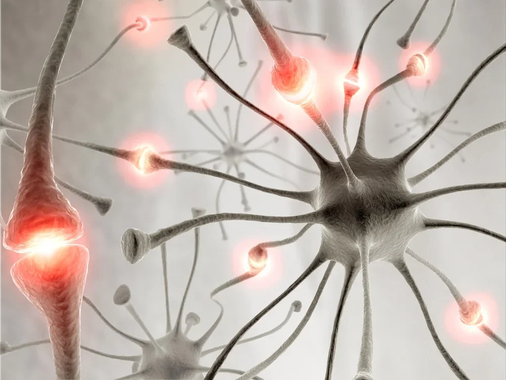 Add-on Nervous System