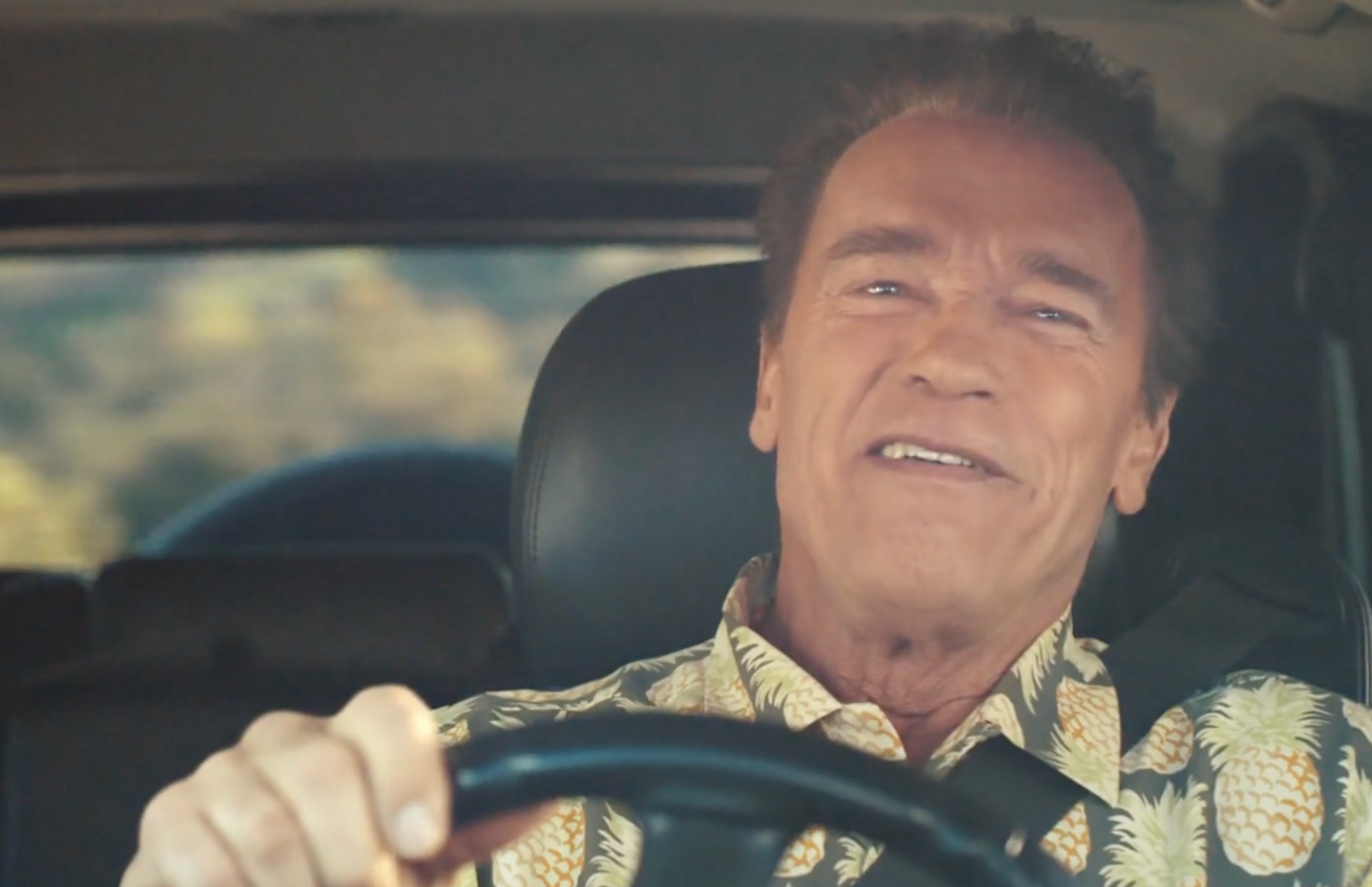 Compare The Market- Arnie
