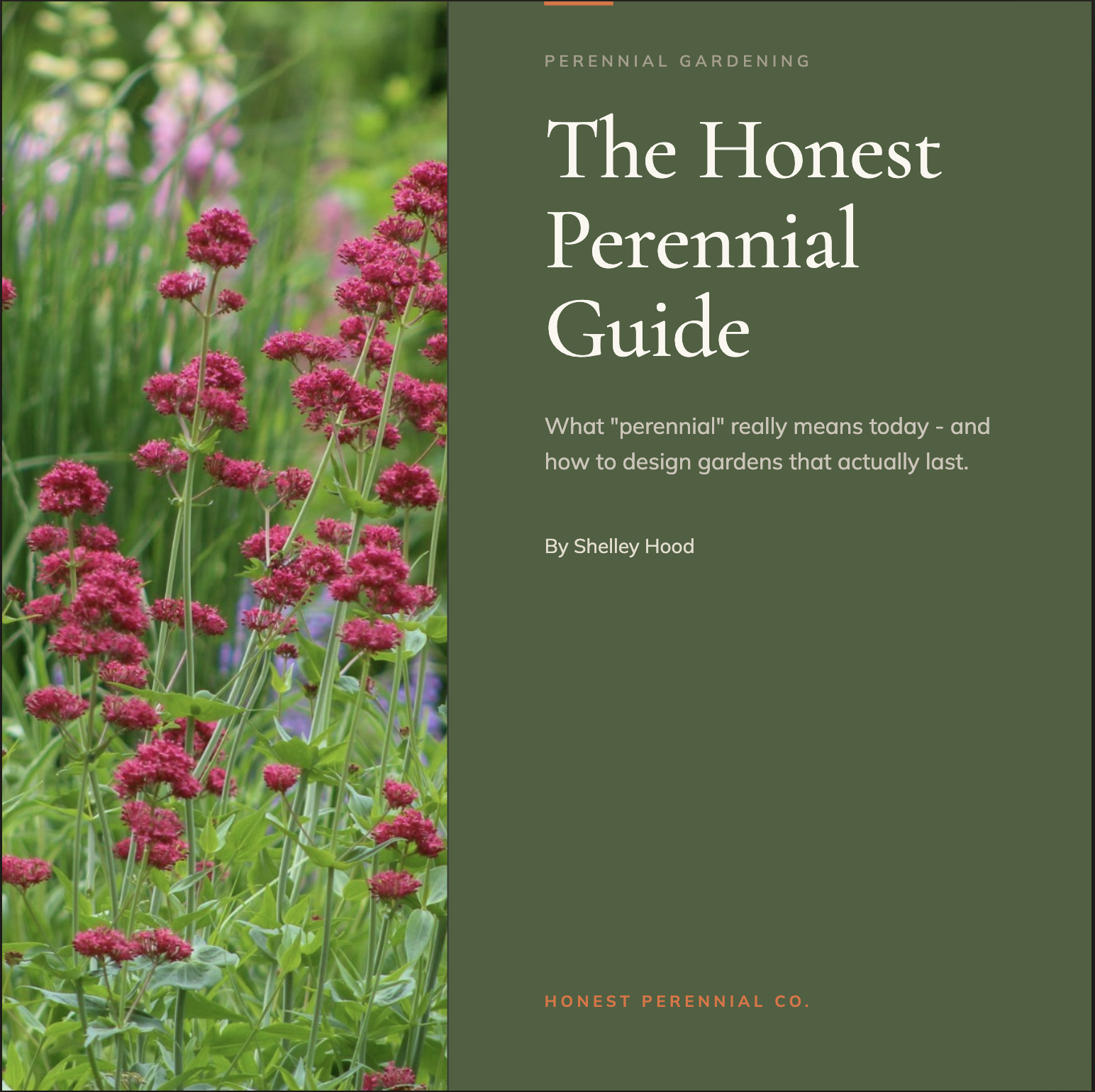 Cover page of a gardening guide featuring pink flowers on the left and green background with white text on the right.