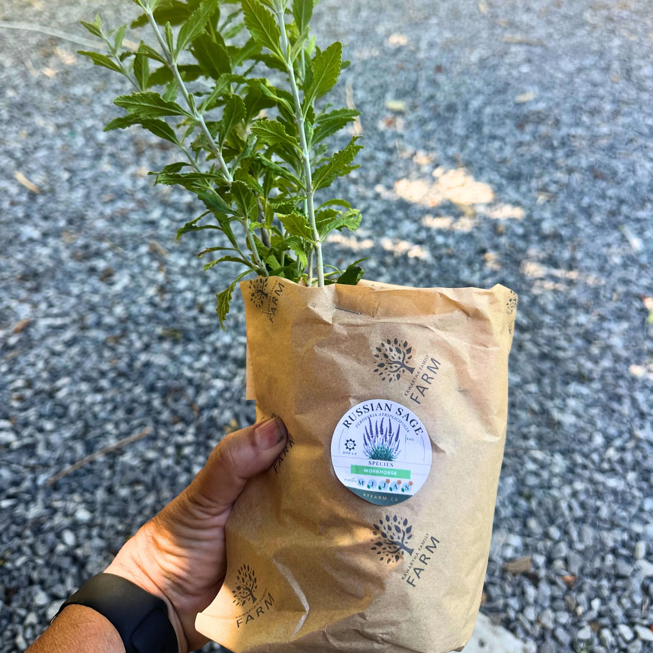 Garden Wrap - $14.50