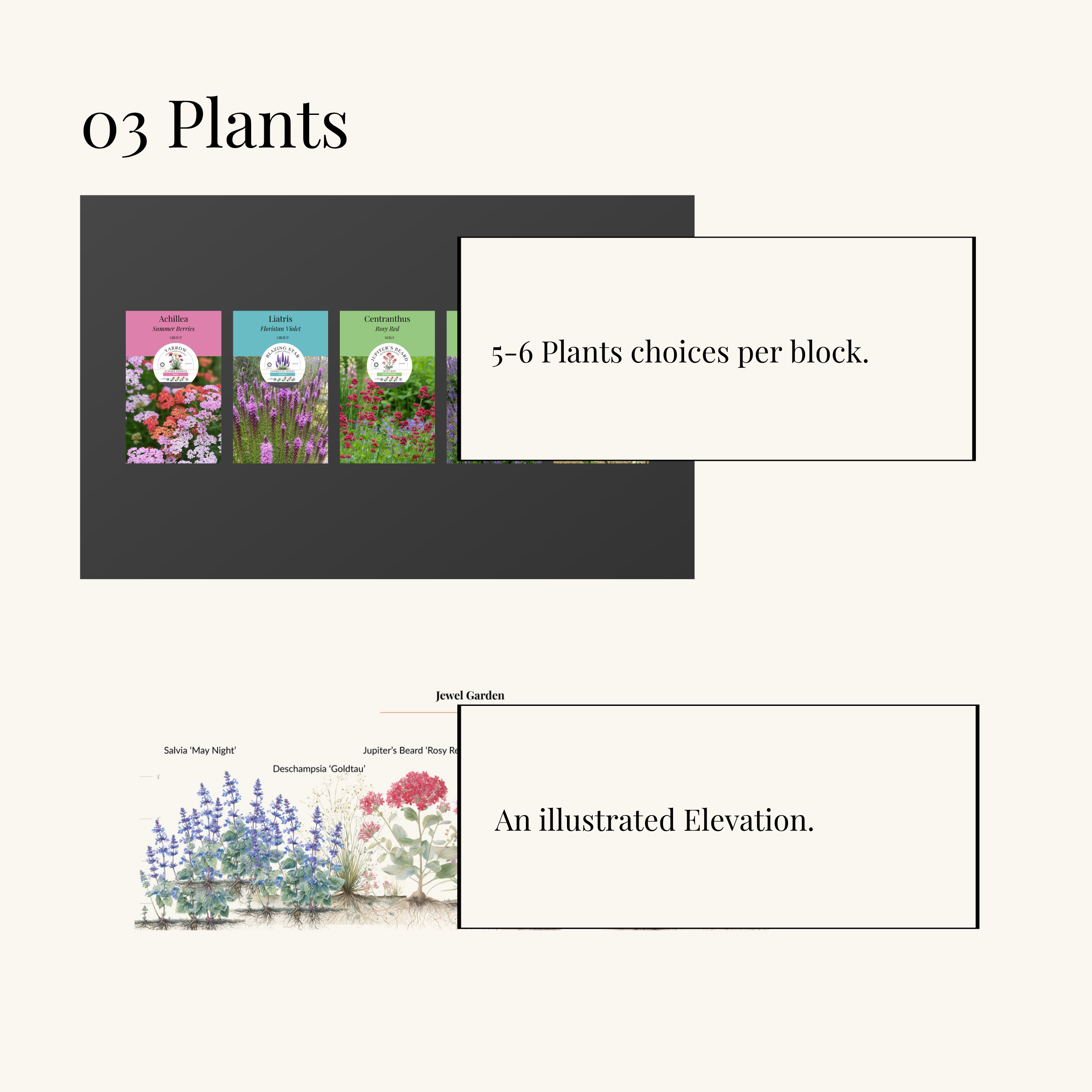 Choices.png