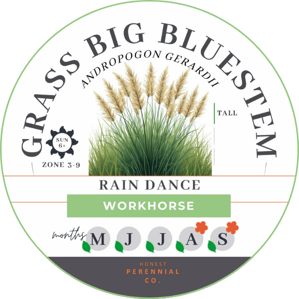 Jupiter (4).png