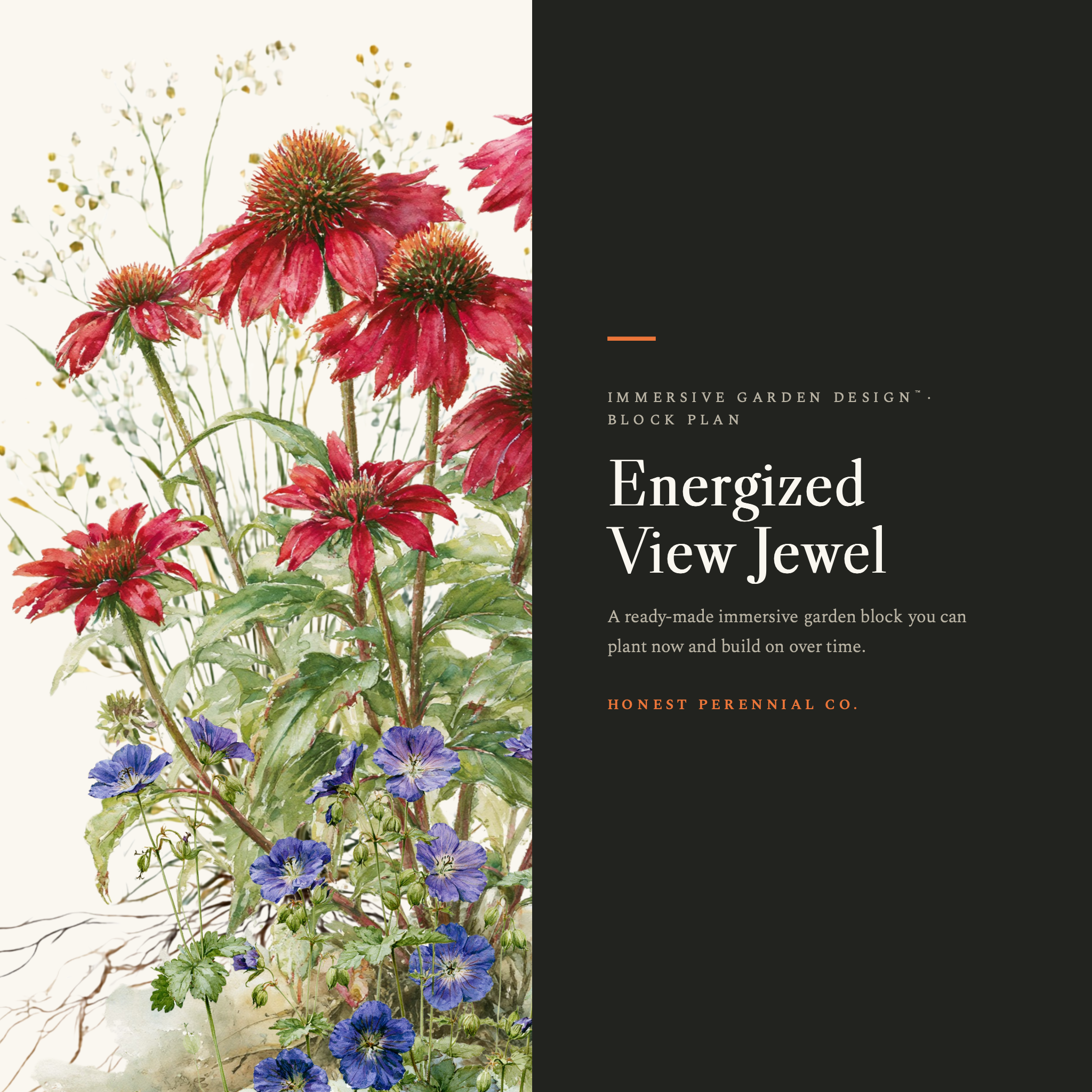 Energized View Jewel | Digital