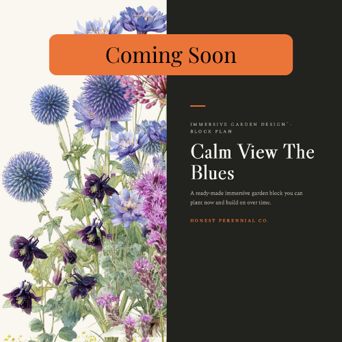 Garden Design Block | Calm View The Blues