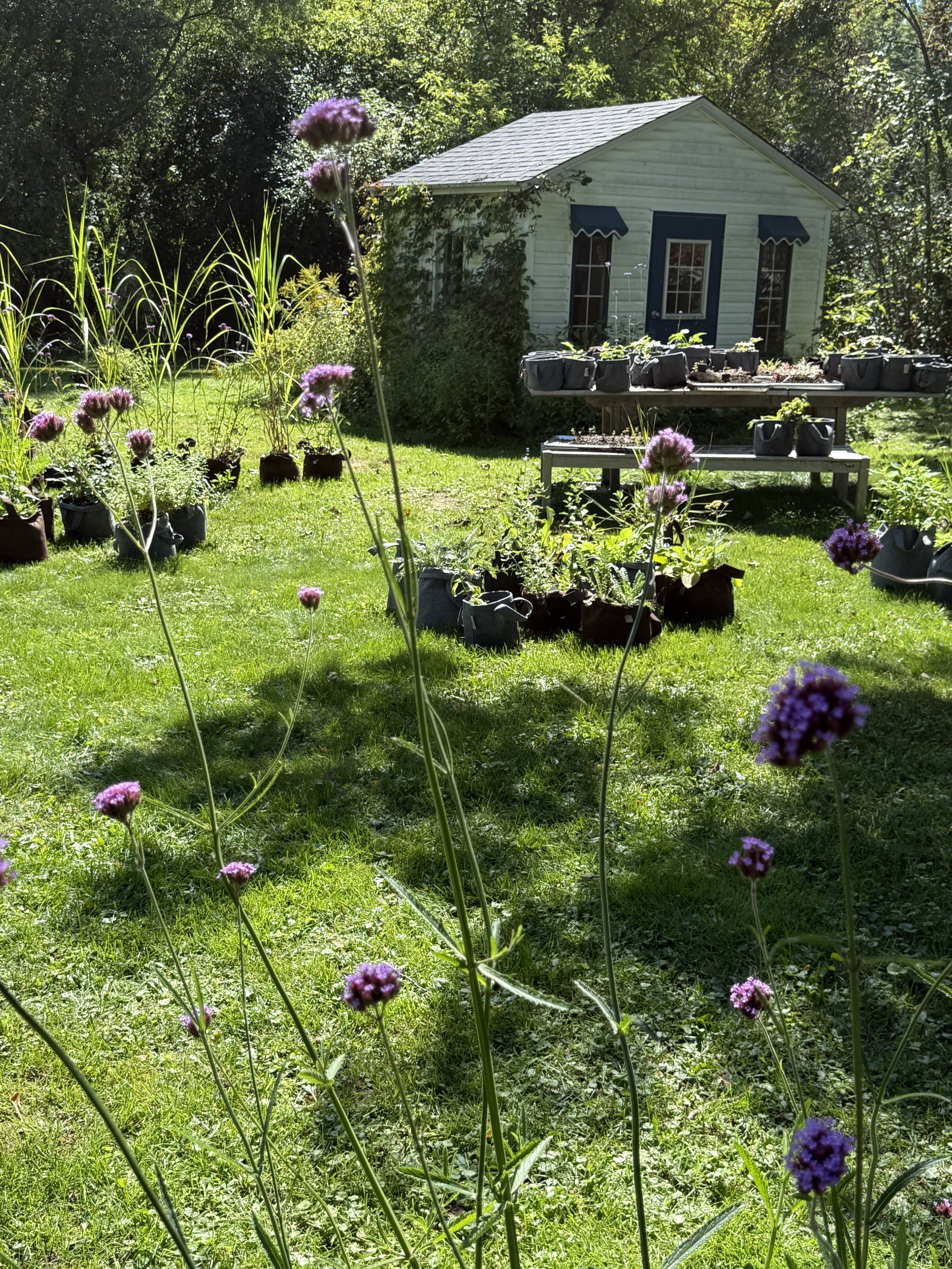My Movable Garden