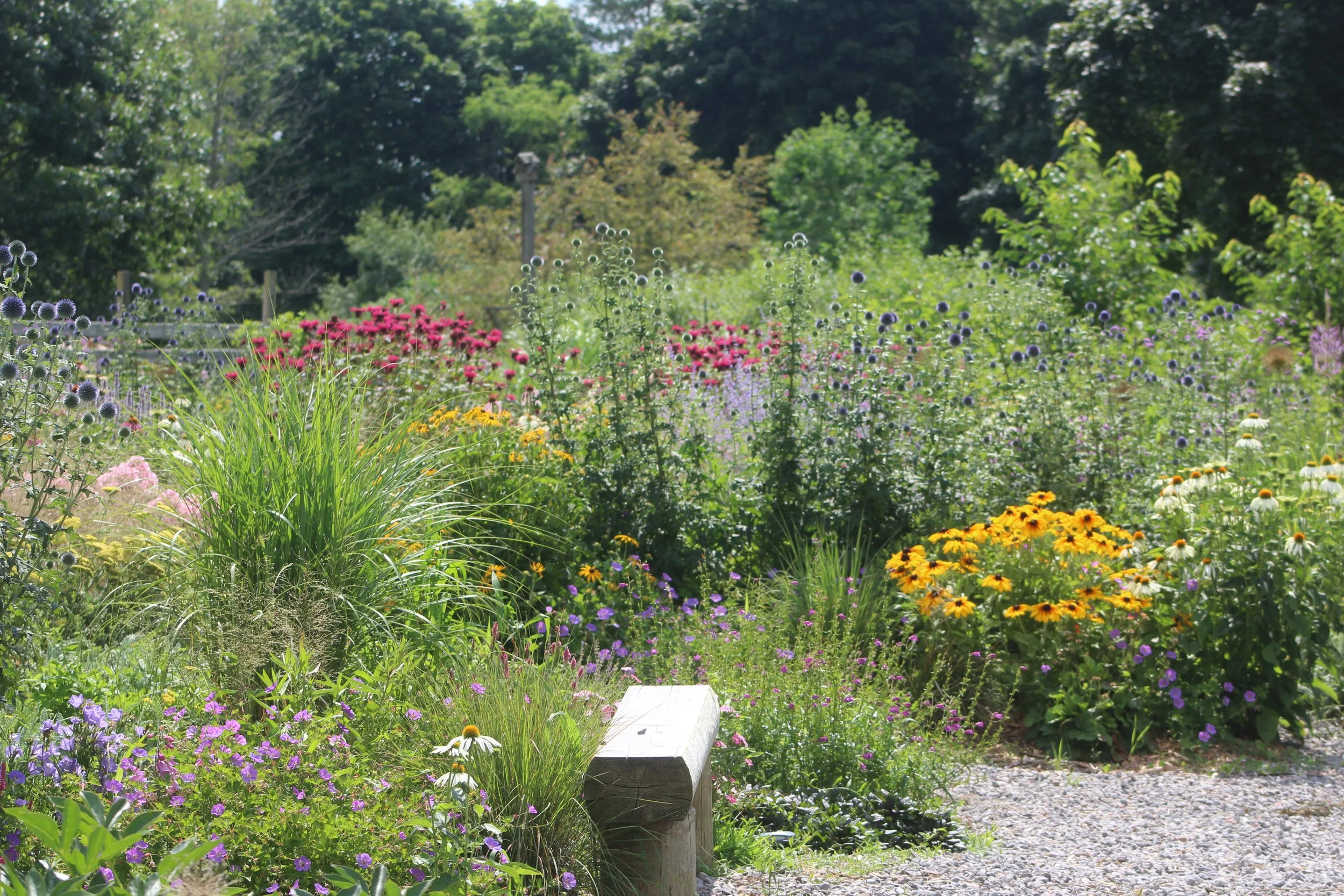 A colorful garden with various flowers, green shrubs, and trees under a bright sky.