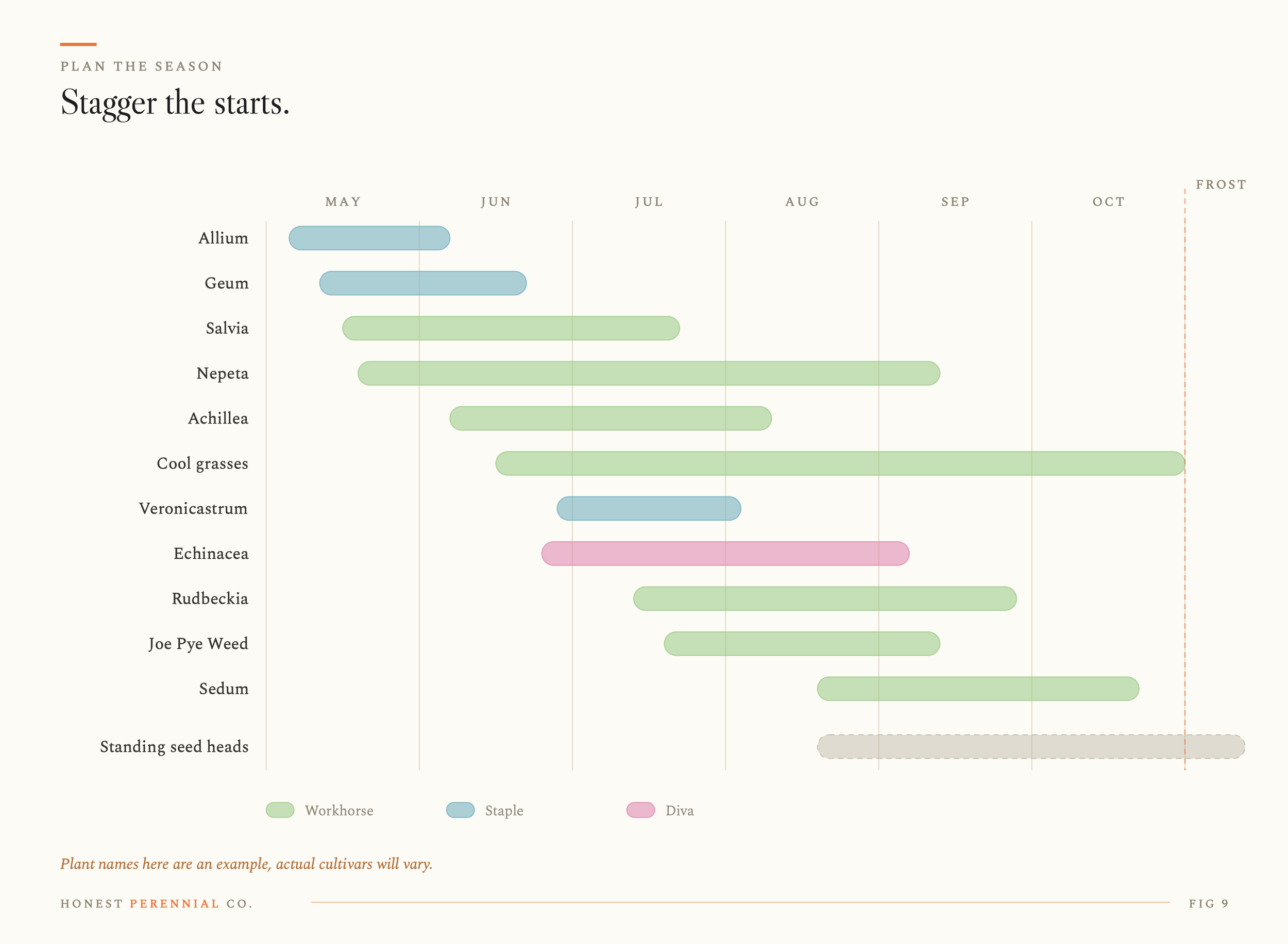 Seasonal presence chart showing staggered bloom and structure from May to frost across Workhorses, Staples and Divas, followed by standing seed heads.