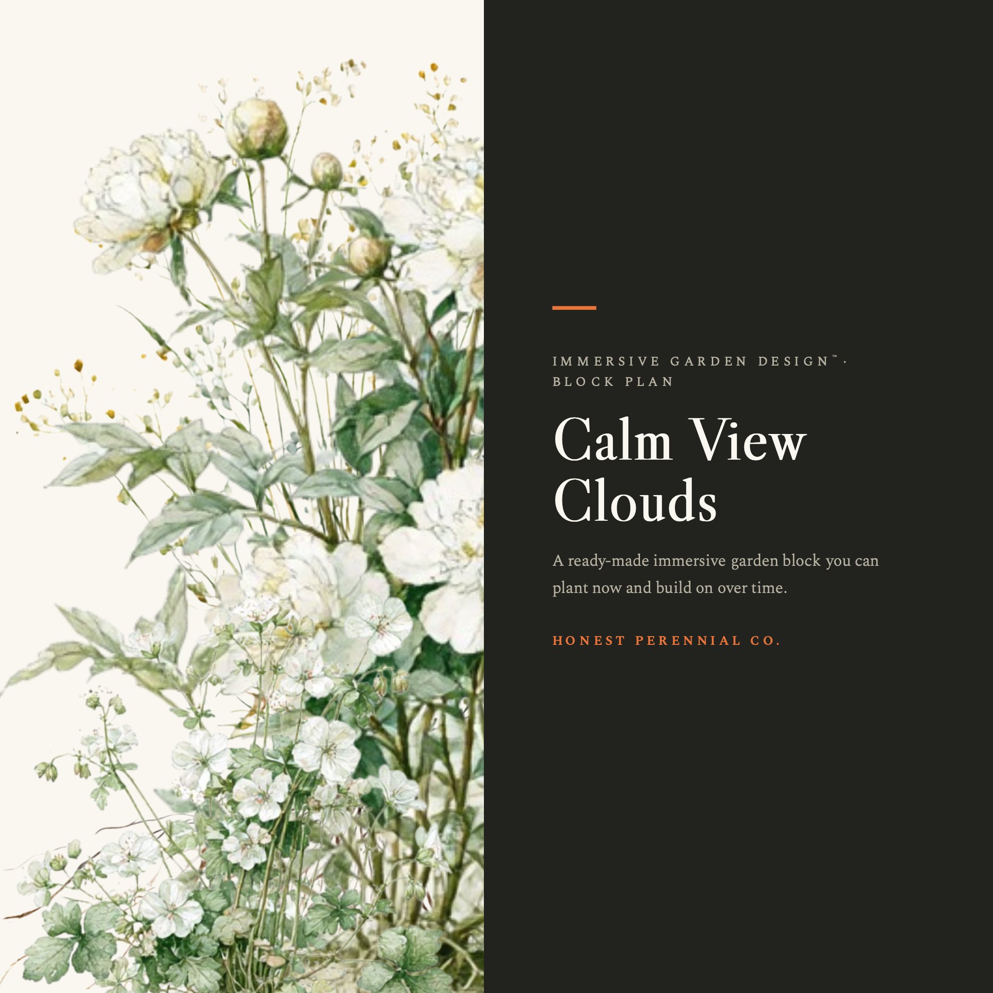 Calm View Clouds | Print