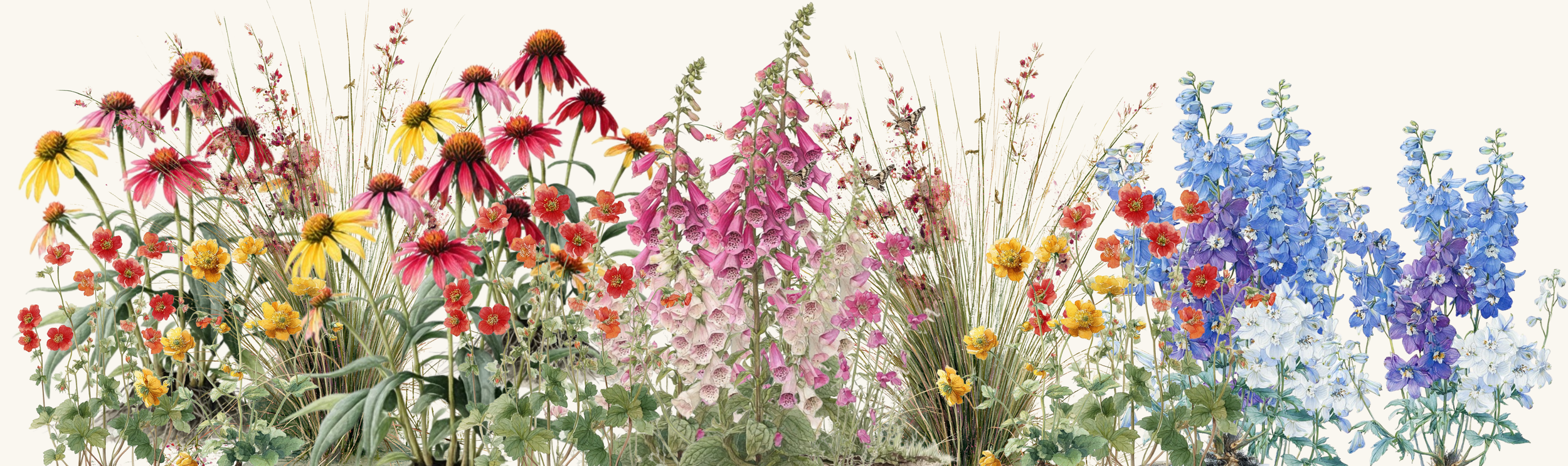Colorful arrangement of various flowers including coneflowers, primulas, foxgloves, and delphiniums with green foliage.