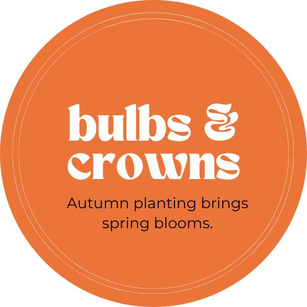 Orange circular label with white text reading "bulbs & crowns" and black text saying "Autumn planting brings spring blooms."