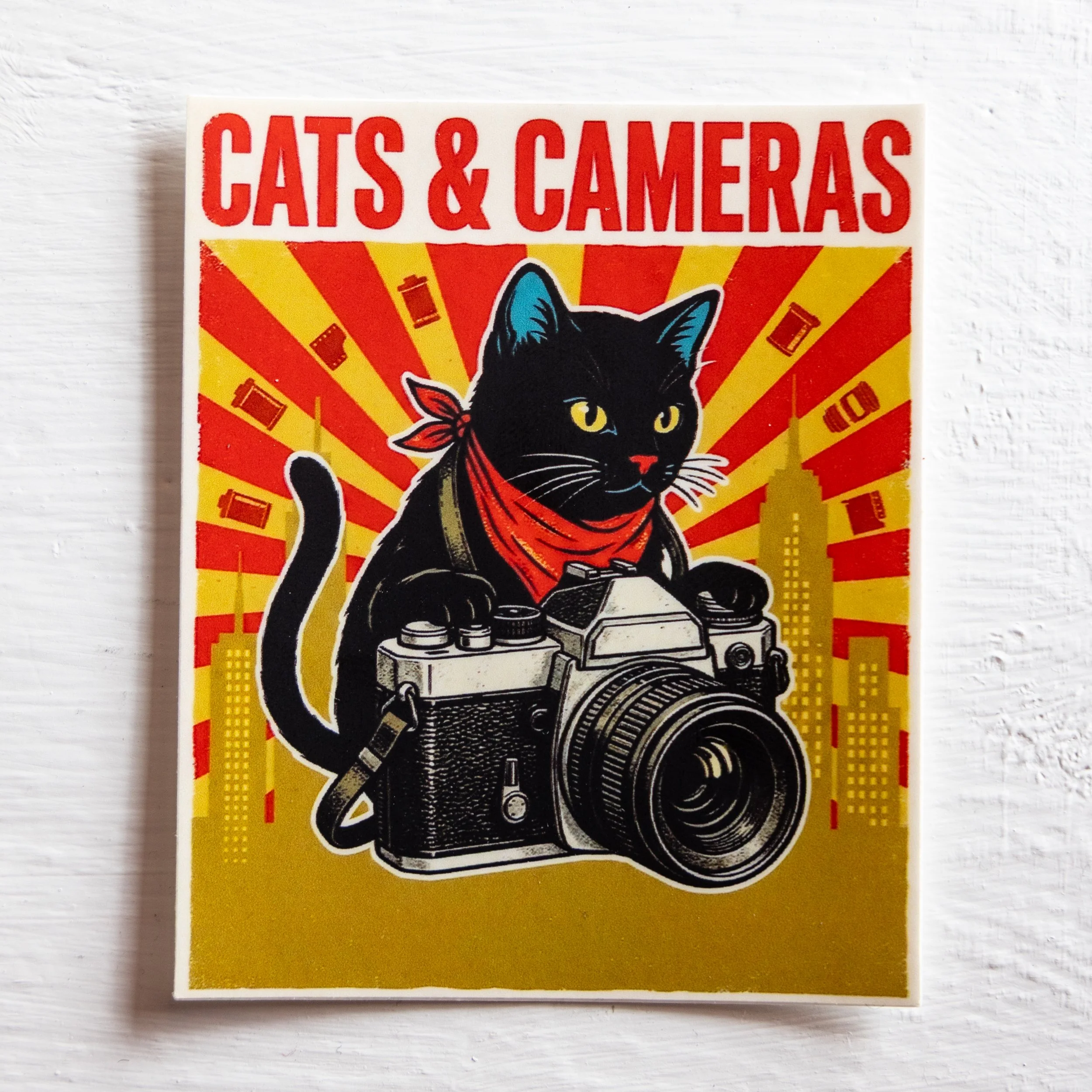catscameras1.jpg