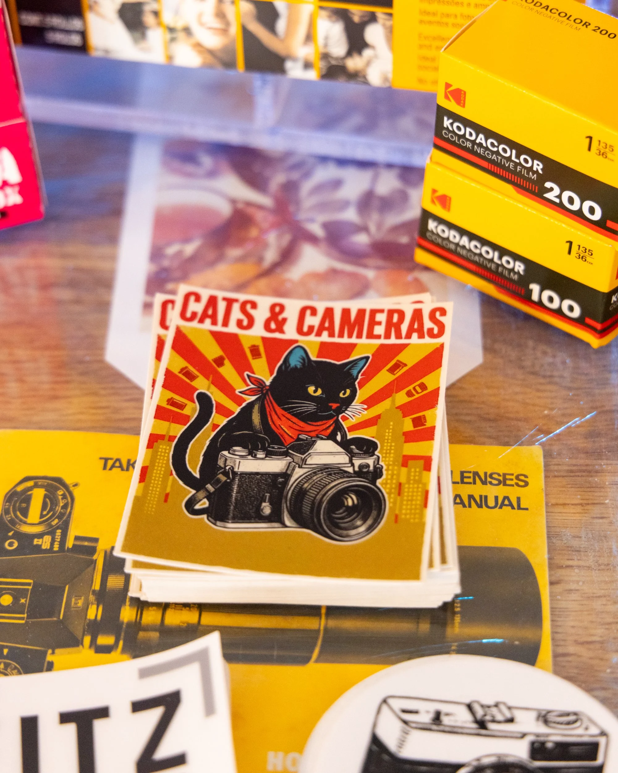 catscameras2.jpg
