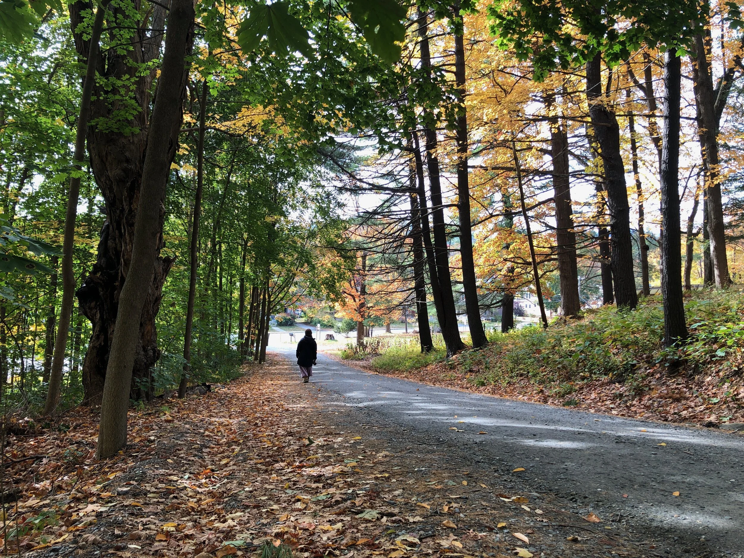 Take a walk in beautiful Southern Vermont