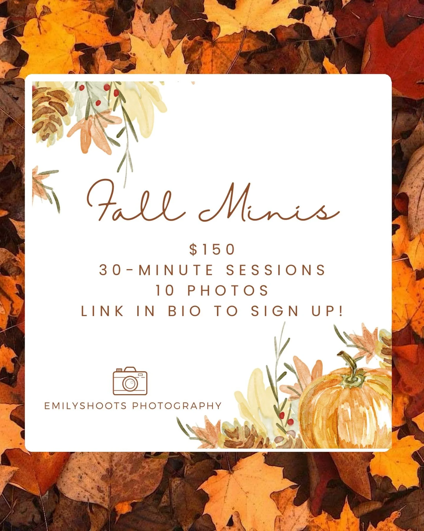 Fall minis are back! 🍁🍂🍃
I&rsquo;m so excited to be offering fall minis again this year. Please use the link in my bio to sign up! I will be hosting minis are 4 potential locations this year so please select a date based on the location:

&middot;