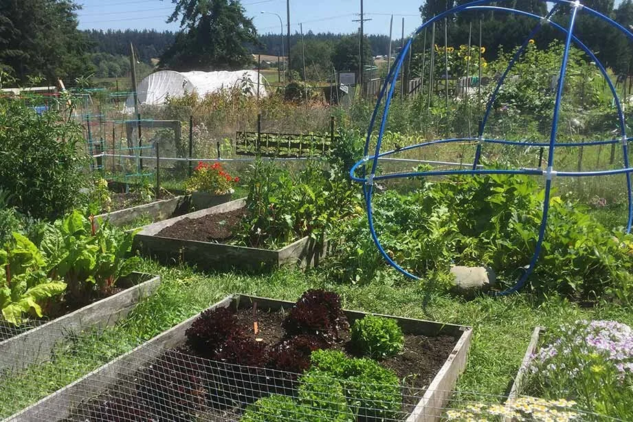 Community Garden News