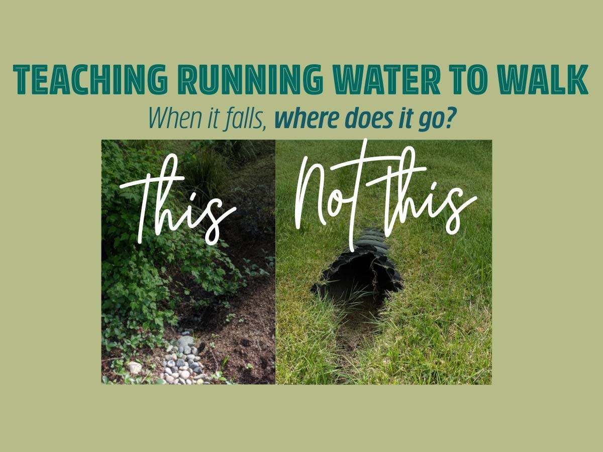 Island Conversations—Teaching Running Water to Walk