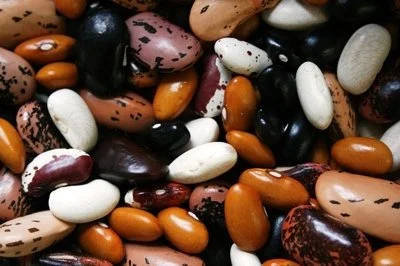 Seed Saving Class