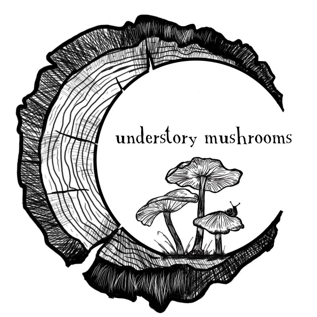 Understory Mushrooms
