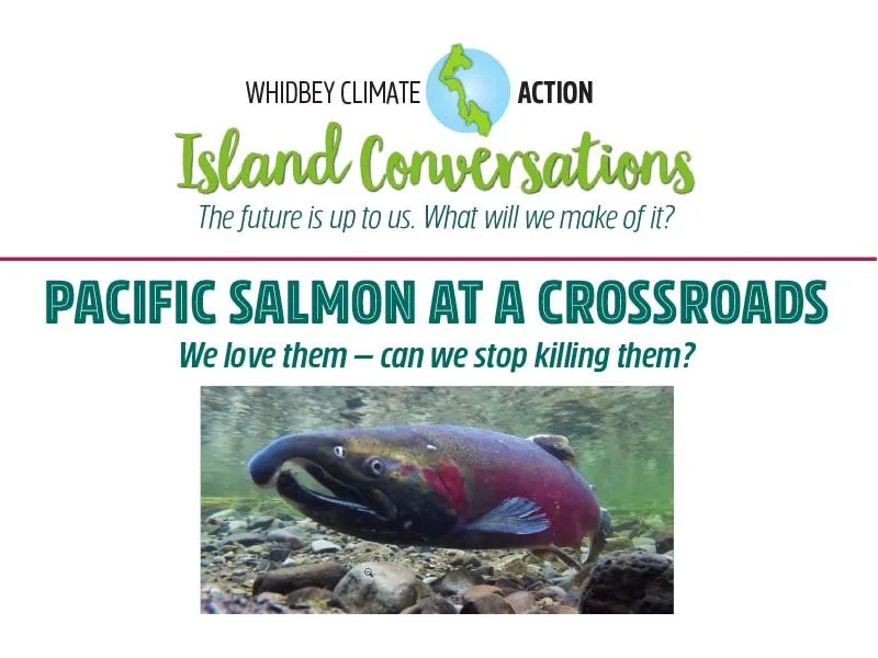 Pacific Salmon at a Crossroads