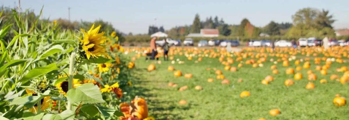 Webinar: What Agritourism Farms Should Know