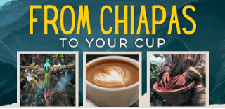 Café Mam Coffee Tasting 