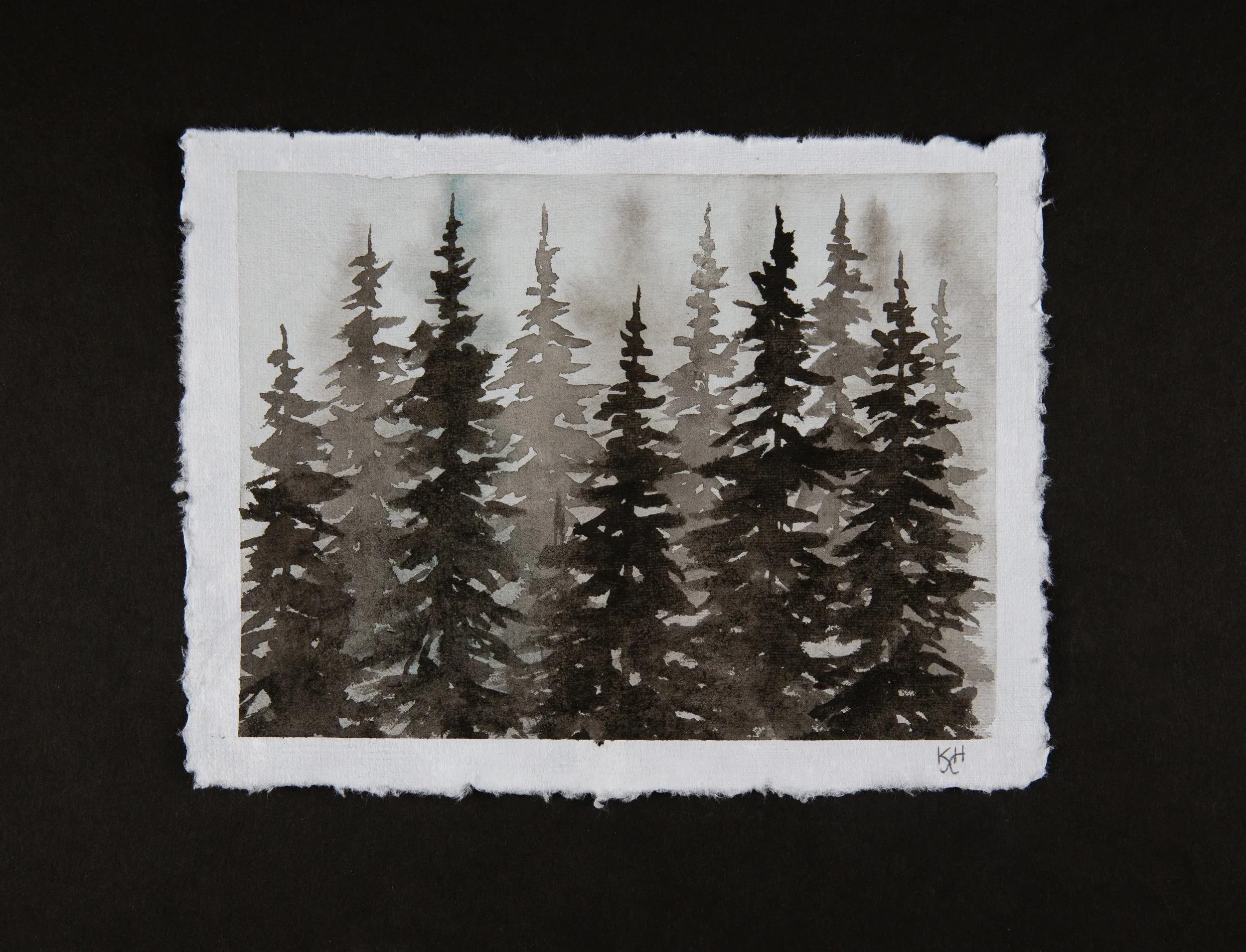 Misty Forest 3.jpg