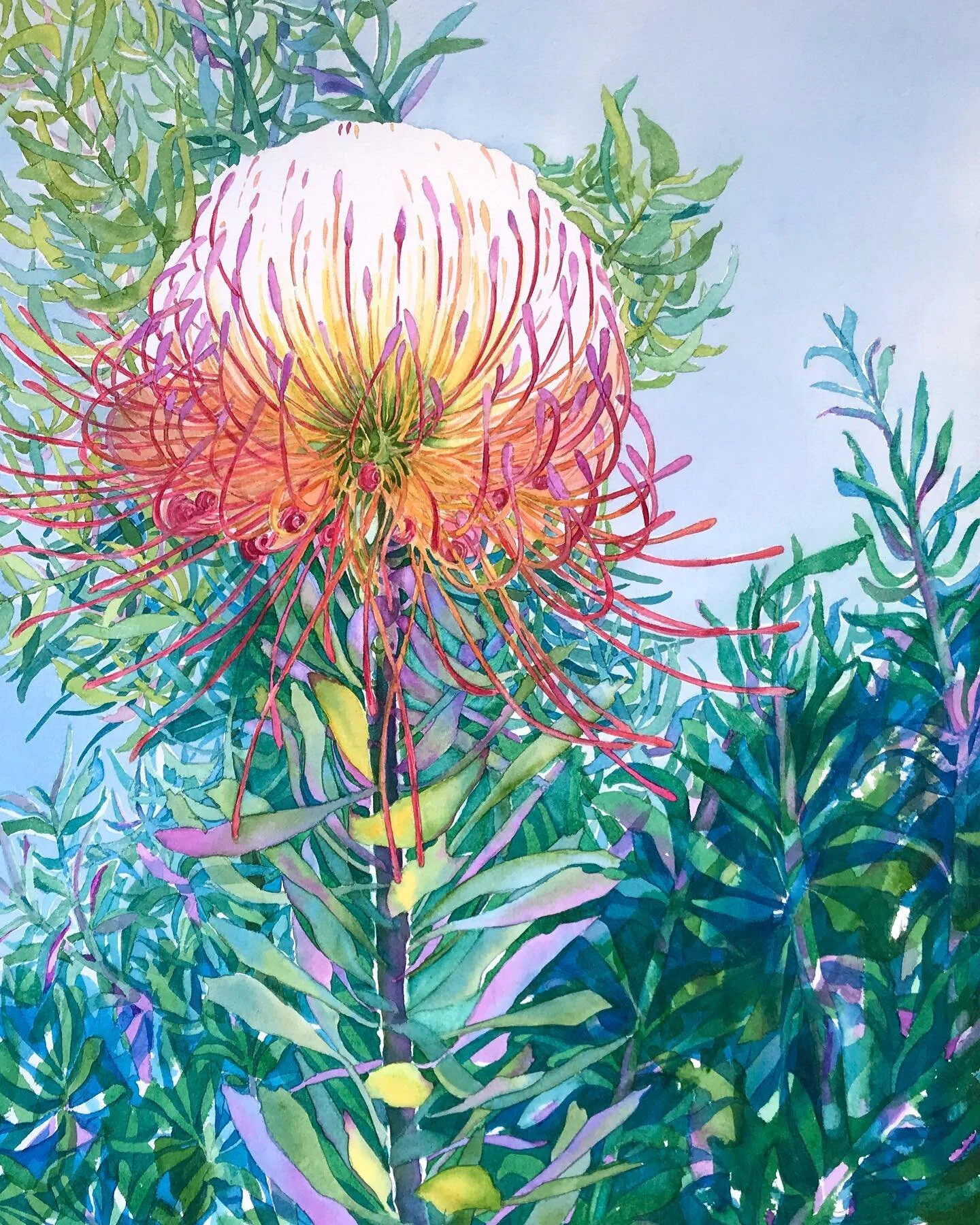 I&rsquo;m delighted to share that my painting, Pincushion Protea, won a &ldquo;Special Award&rdquo; in the Valley Watercolor Society Online Juried Show. Thank you to juror @Linda Doll for this recognition and honor. #valleywatercolorsociety #watercol