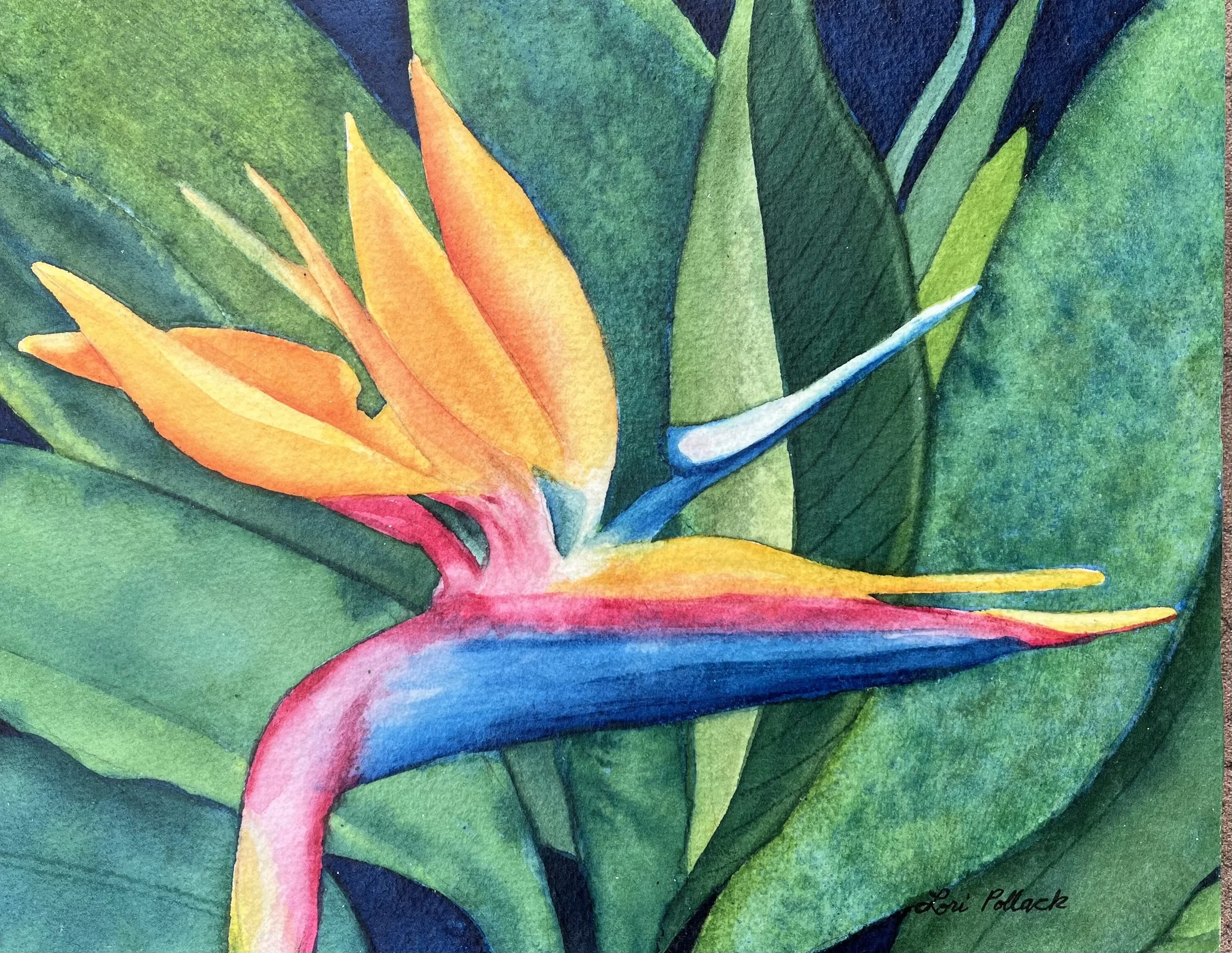 Bird of Paradise - 8x10

Mounted on a wooden cradle &
Ready to Hang!