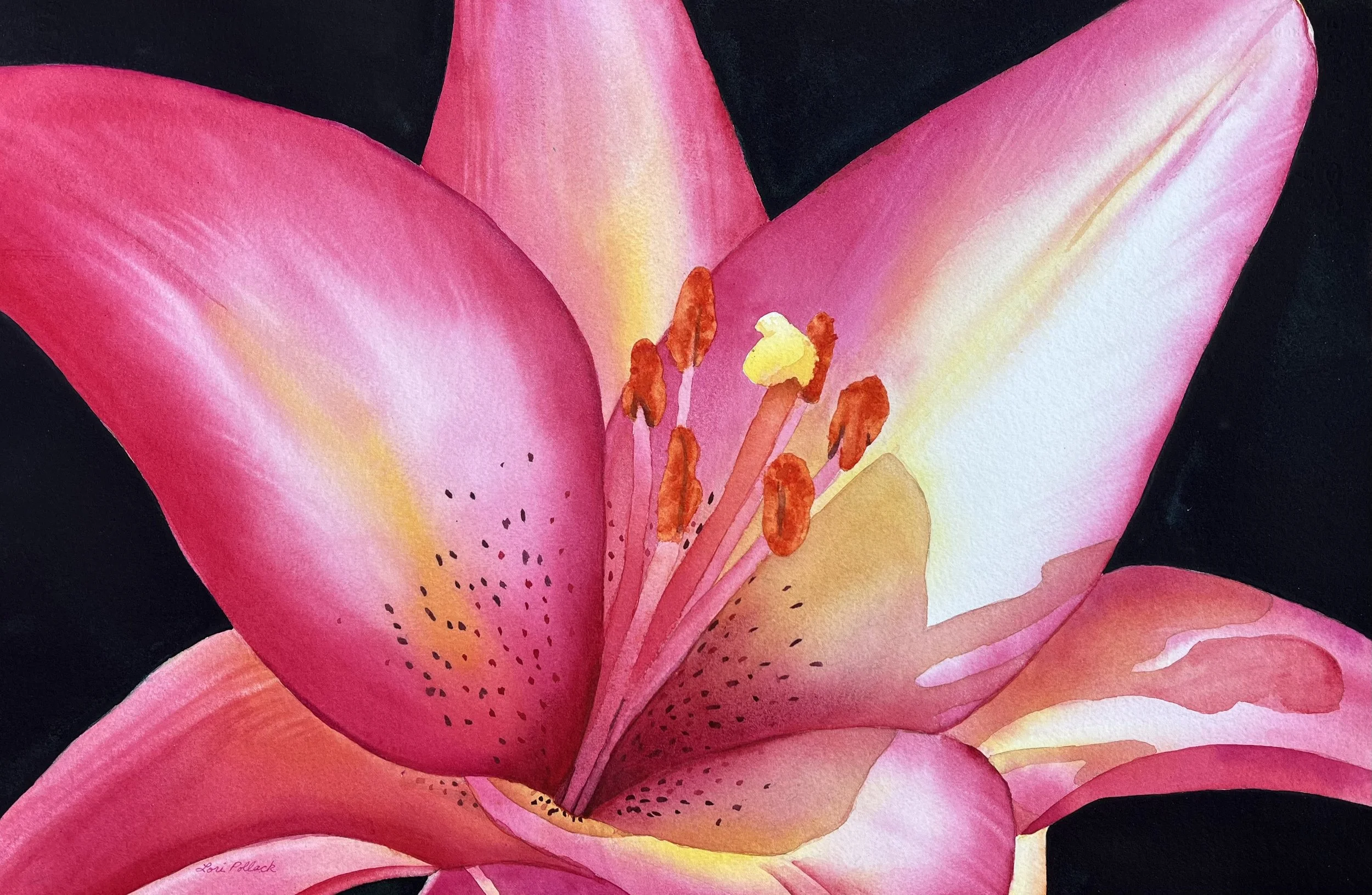 Red Lily - 15x22