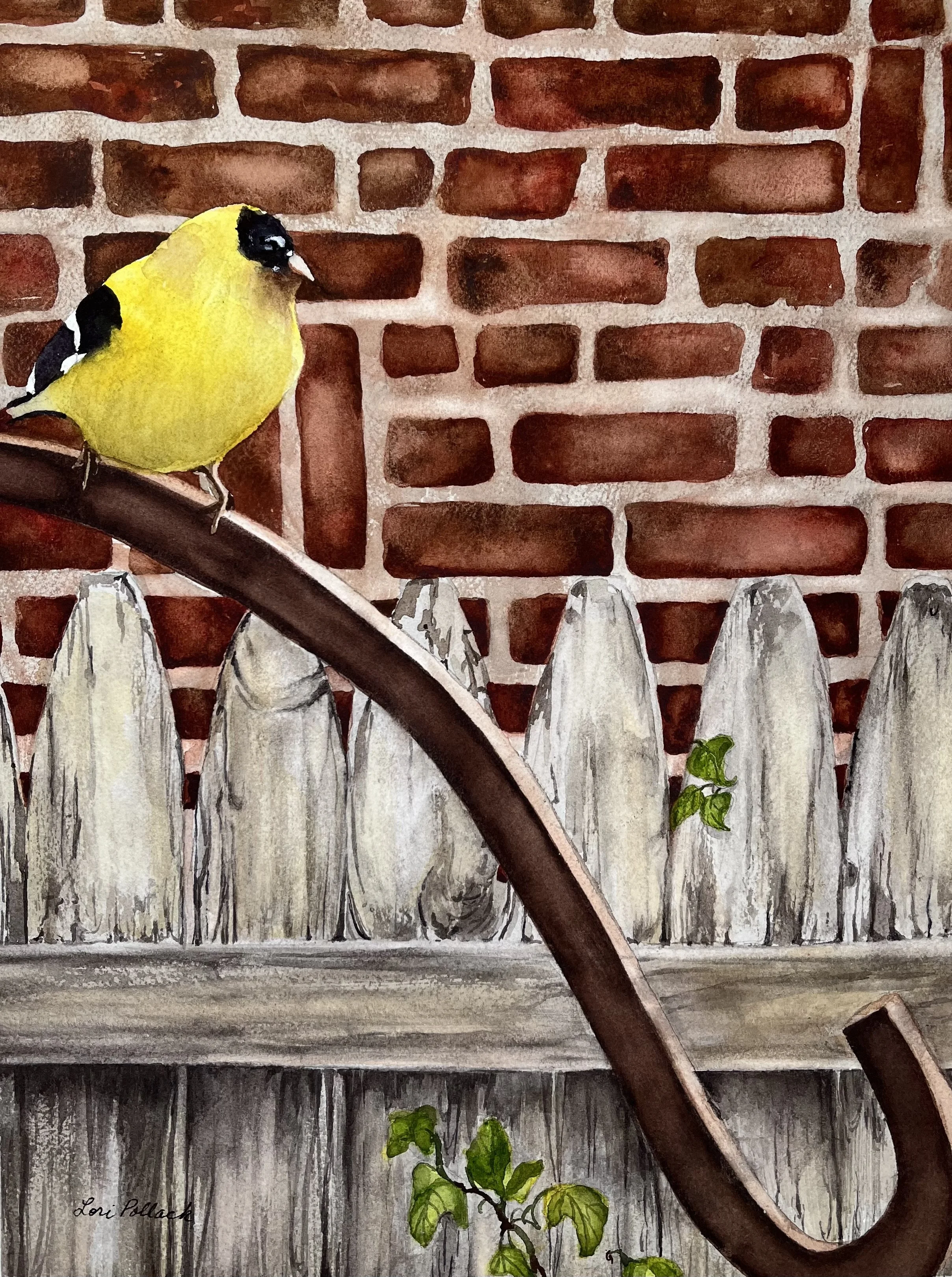 Goldfinch - 14x11
