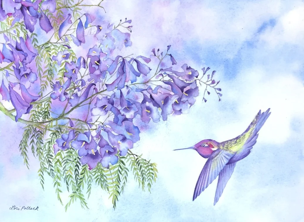 Hummingbird in the Jacaranda Tree - 12x16