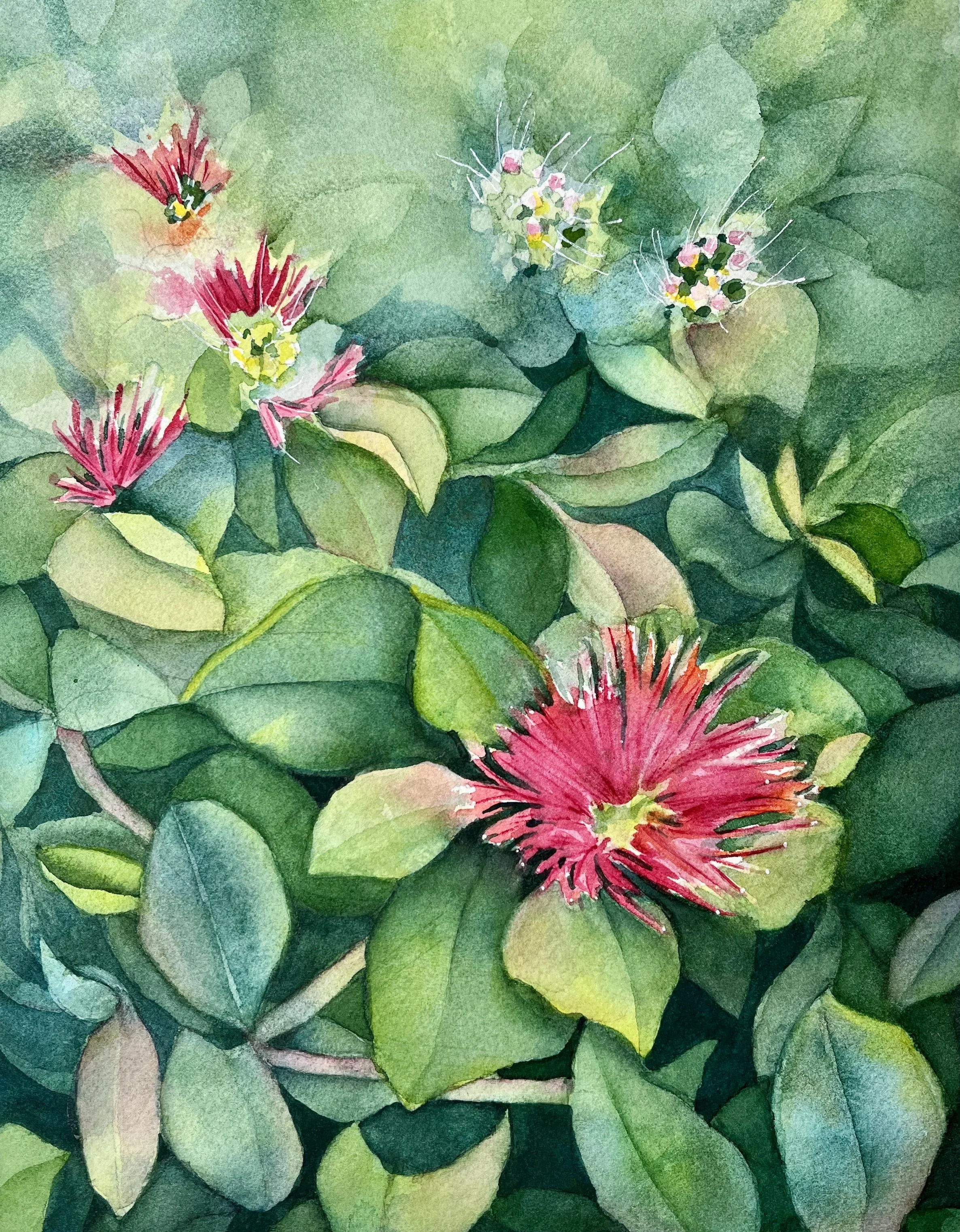 Bottlebush - 11x8

Mounted on a wooden cradle &
Ready to Hang!