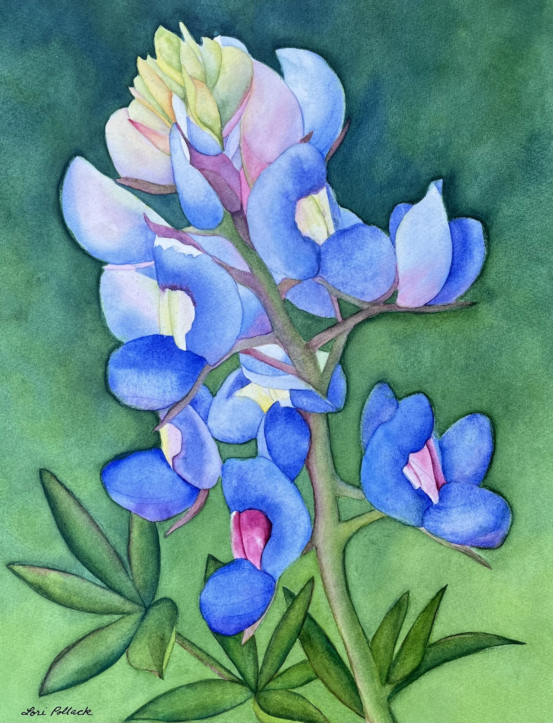 Bluebonnet - 16x12

Mounted on a wooden cradle &
Ready to Hang!