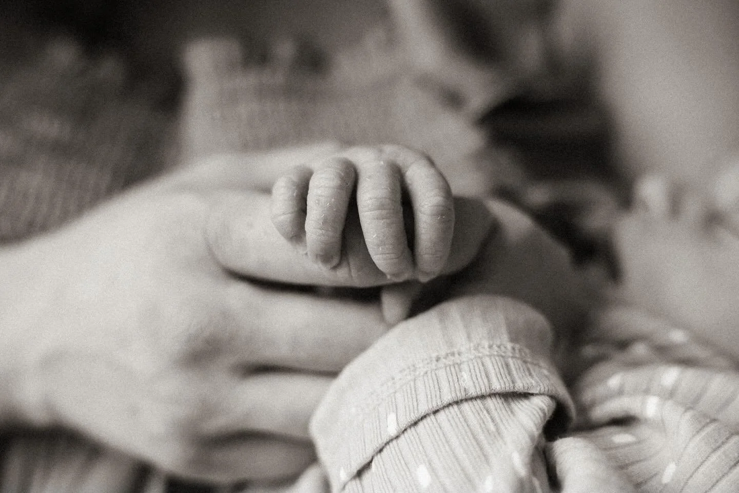 Tiny fingernails, ear fuzz, the newborn scrunch.
These are a few of my favorite things🤍 
#nhphotographer #nhfamilyphotographer
