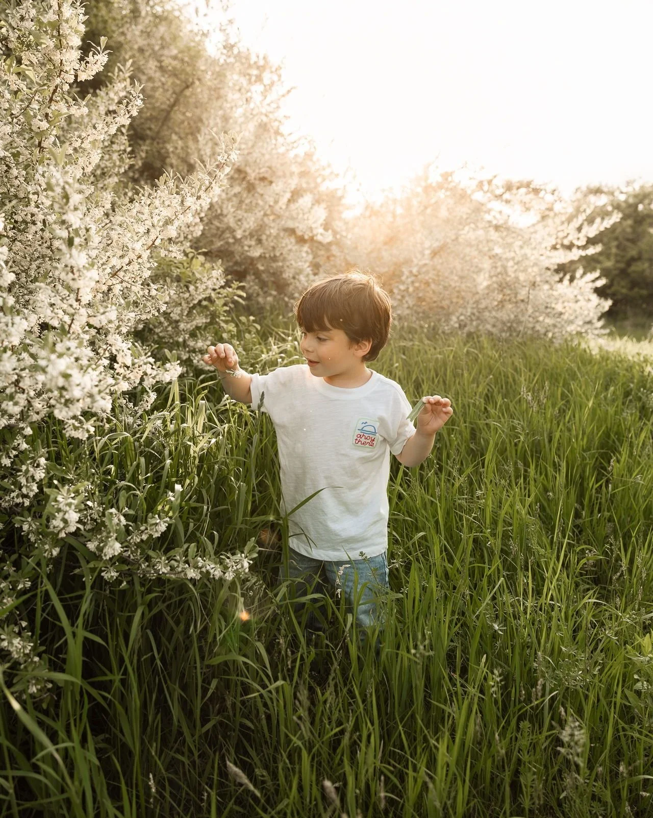 I love everything about this image. The look on wonder on his face, the sun flare, this field, the dreamy haze. This is what my dreams look like ✨️ 

We've got a short window of time with this field and the flowers (it's growing daisies right now too
