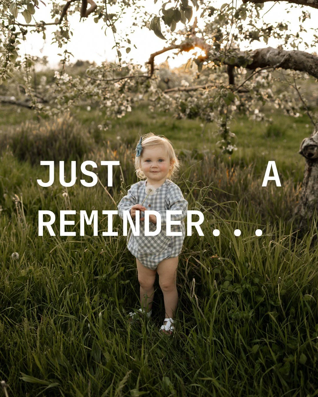 PSA: You don't need a special occasion to have your photos taken.

The days are long, but the years are short.
They're only little for so long.
You only get 18 summers with them...

We've all heard these, but we can't argue the logic behind these say