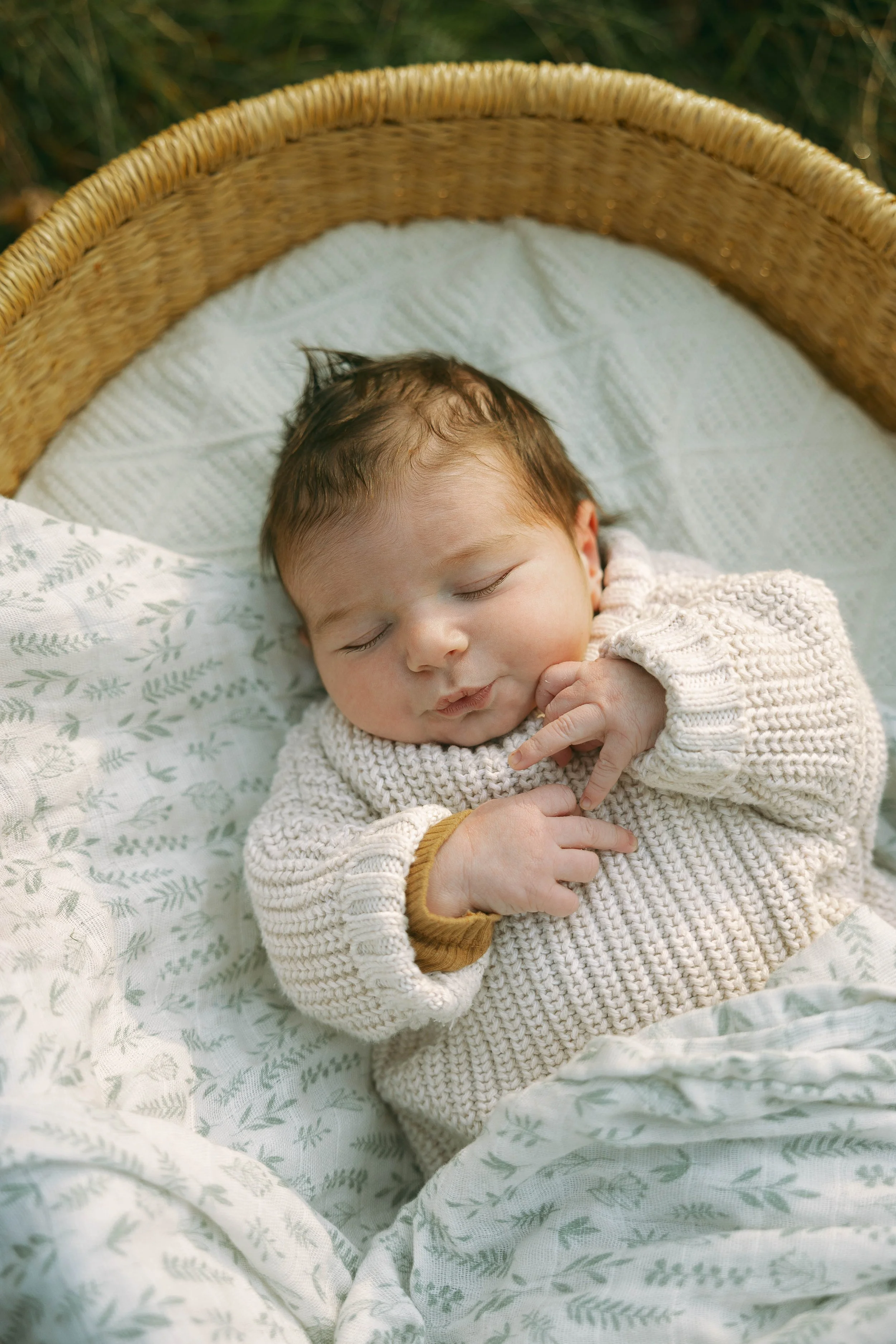 Baish Newborn-1.jpg