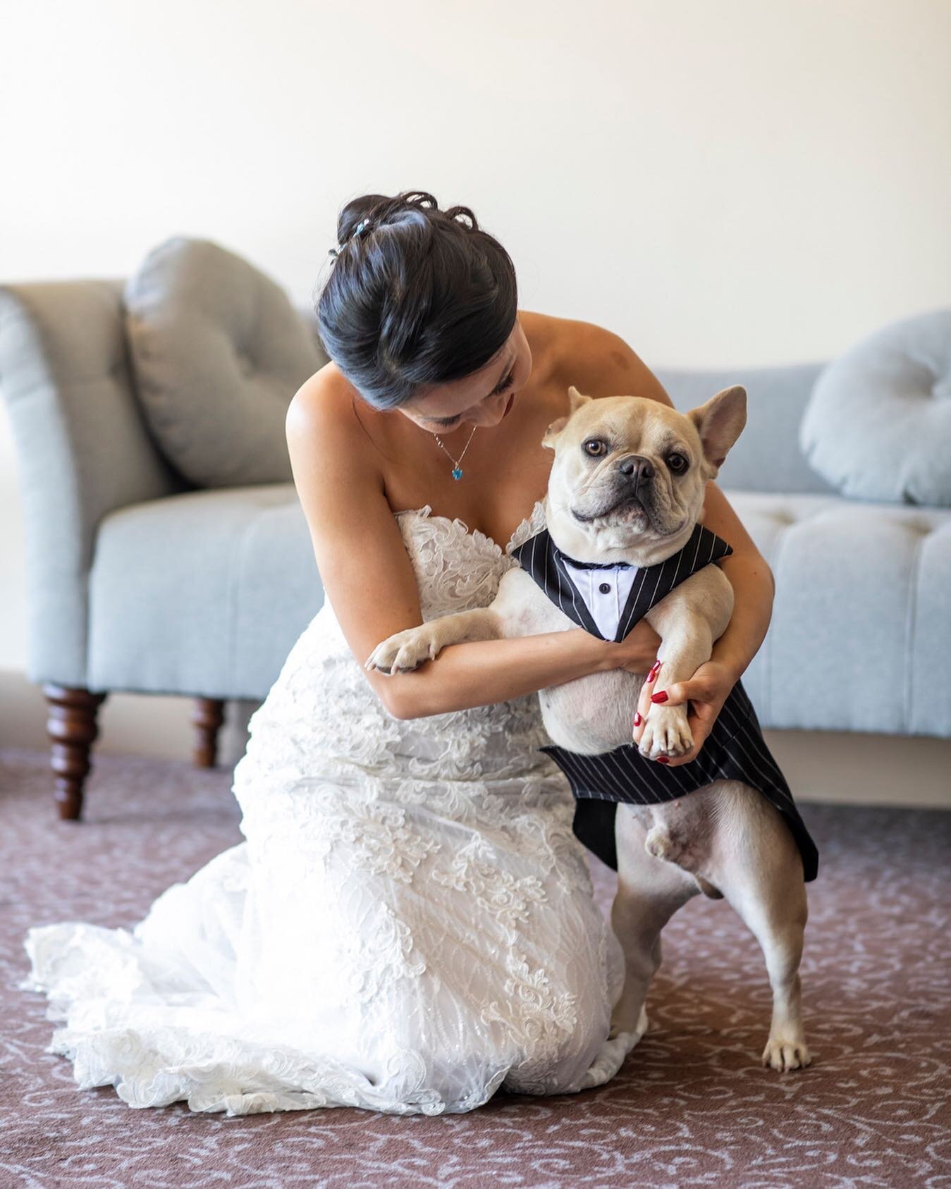 Oh my gah. I mean&hellip;.no words for this right here. If you know me, you know my love for dogs.  This guy looked good on his parents wedding day!
&bull;
&bull;
&bull;
&bull;
&bull;
#weddingday #insideweddings  #weddingphotographer #engagementphoto