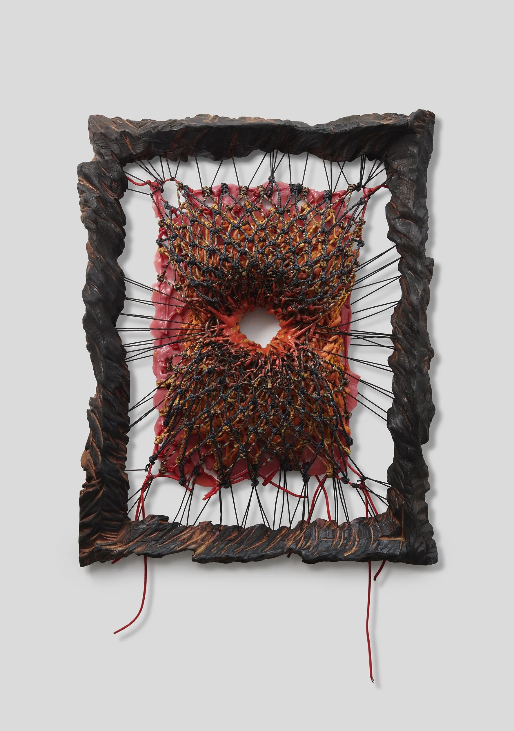  Device for Healing the Sternum , 2026 
Casting wax, encaustic, utility rope, paracord, charred wood 
30.5 x 24 x 4.5 in 