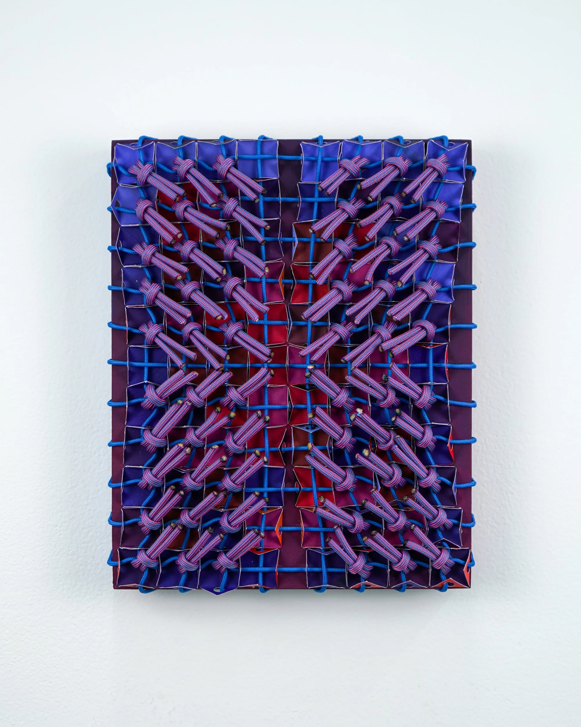  Razzamatazberry , 2026 
Acrylic, paper, utility rope, paracord on panel 
10 x 8 x 2.5 in
