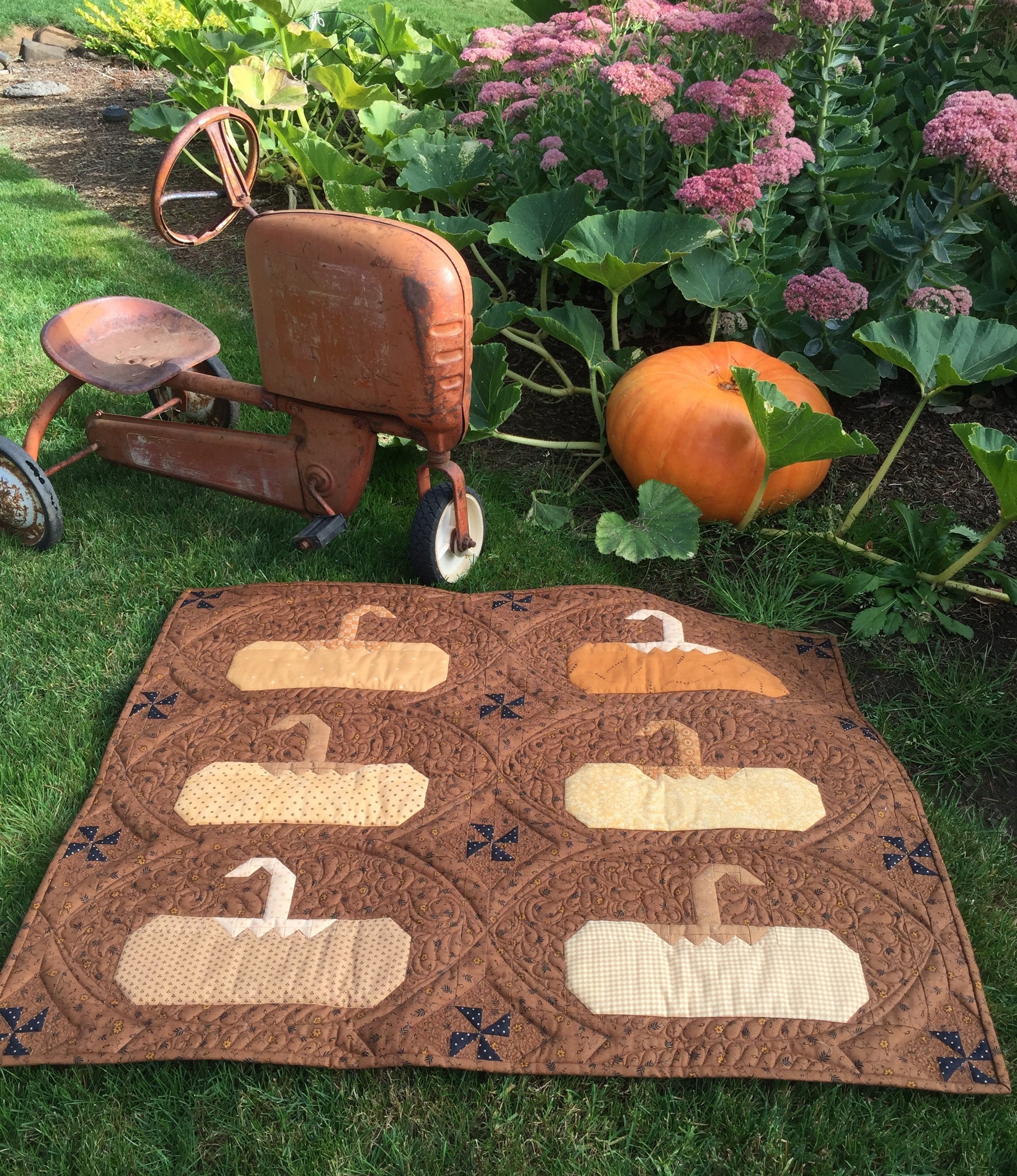 Cinerella Pumpkin cover option 1.JPG